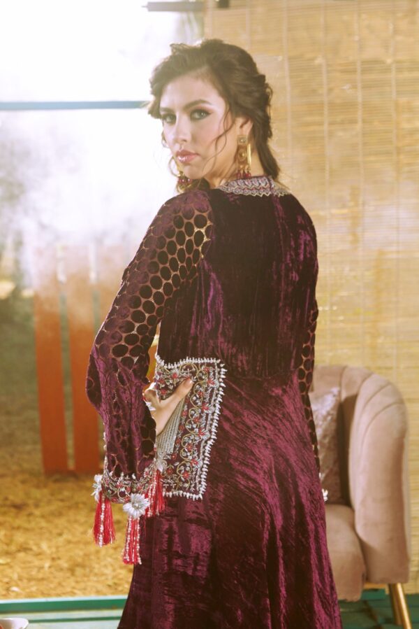 Zara Hayaat Festive Collection  - PERIWINKLE 20 W2
