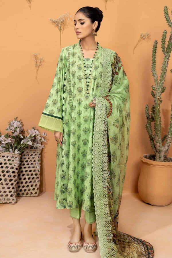 green color cotton salwar kameez
