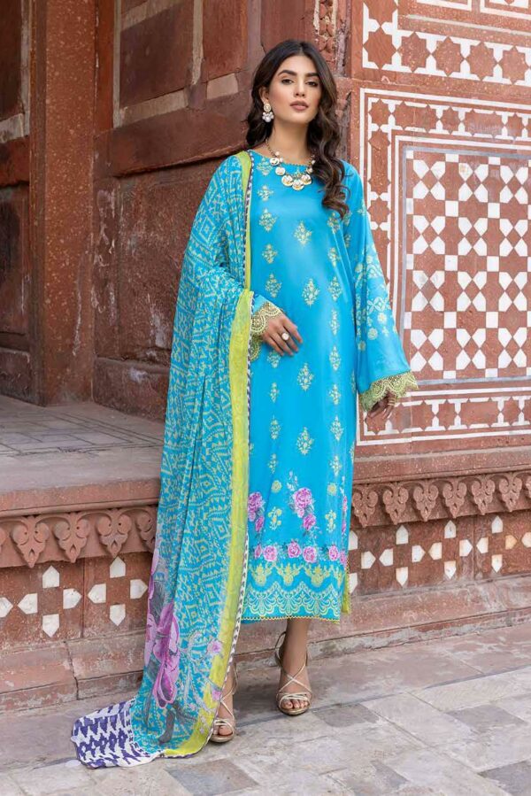 Shop Pakistani Dresses And Pakistani Salwar Kameez Indian Salwar Suits