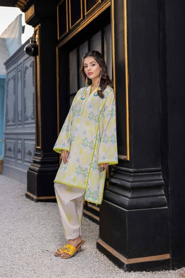 2 Pc Unstitched Printed Lawn by Charizma | CPN22-09