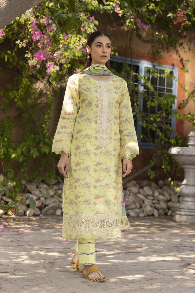 Printed collection by aabyaan | alyara (ap-10)