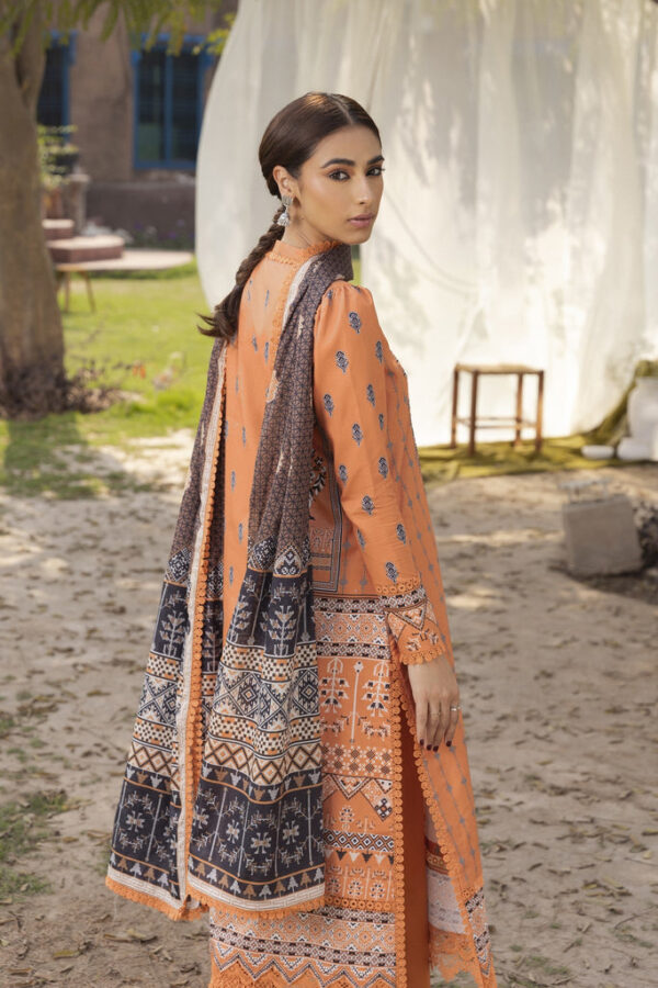 Printed collection by aabyaan | amira (ap-03) (ss-3879) - pakistani suit