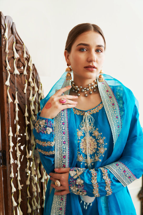 Nawaabzadiyaan Festive Collection by House of Mist| HM-NZ-07 (GZ-24)– Part 3 (78) Nawaabzadiyaan Festive Collection by House of Mist| HM-NZ-07 (GZ-24)– Part 3 (78)