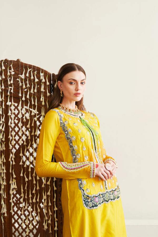 Nawaabzadiyaan festive collection by house of mist | hm-nz-01