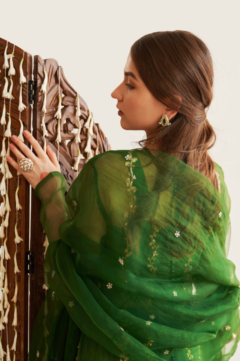 Nawaabzadiyaan festive collection by house of mist | hm-nz-02