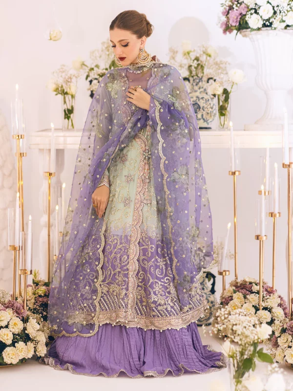 Sawariya Luxury Kalidaar Chiffon by Roheenaz | D-04 (SS-4532)