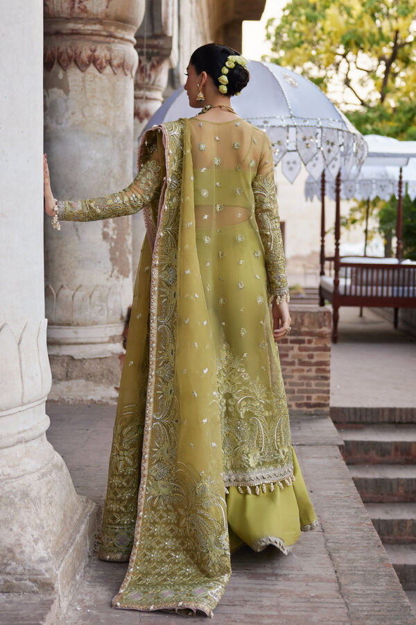 Dastangoi Wedding Formals by Afrozeh | Wedding & Party Collection | Shehnaz