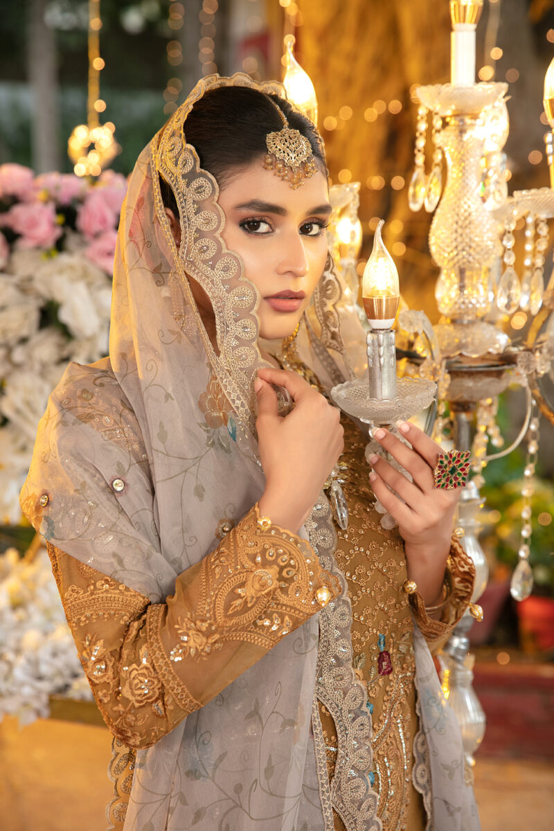 Jahan by tawakkal semi-stitched collection 2023 | d-9341