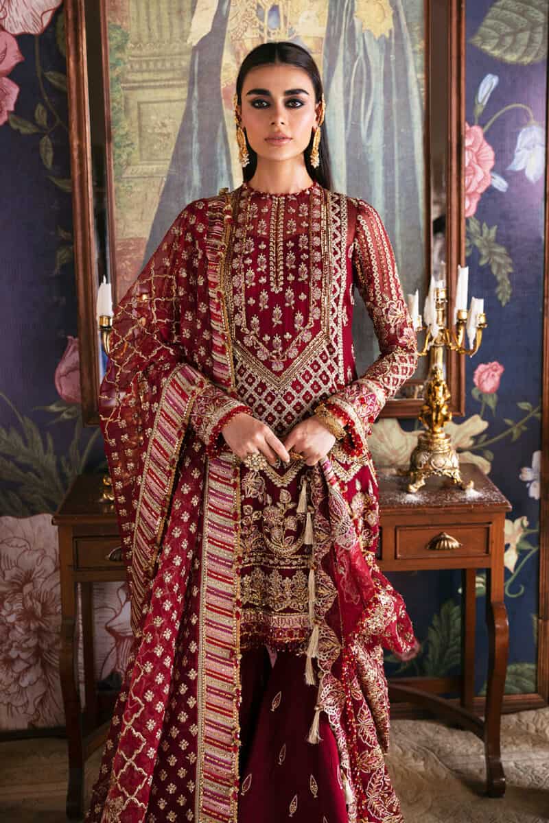 Afrozeh hayat party collection | dabeer
