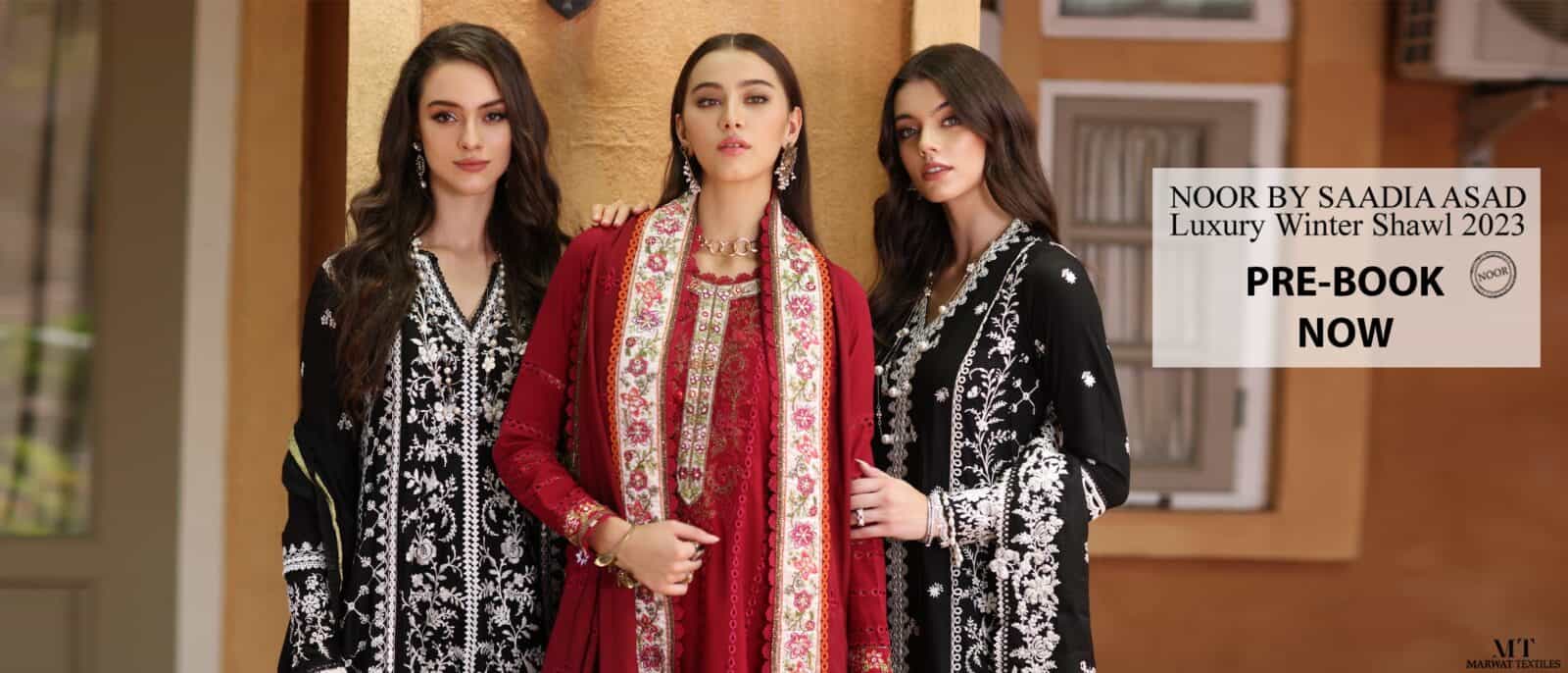 Buy AliColours Black Embroidered Pakistani Cigarette Pant for Women  (Medium) at