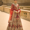 Erum khan embroidered festive collection | laila