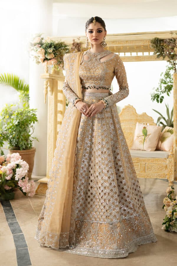 Wedding & Bridal Collection by Qalamkar | DN-01 IMAAN