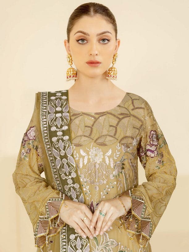 Ramsha nayab embroidered chiffon | n-407