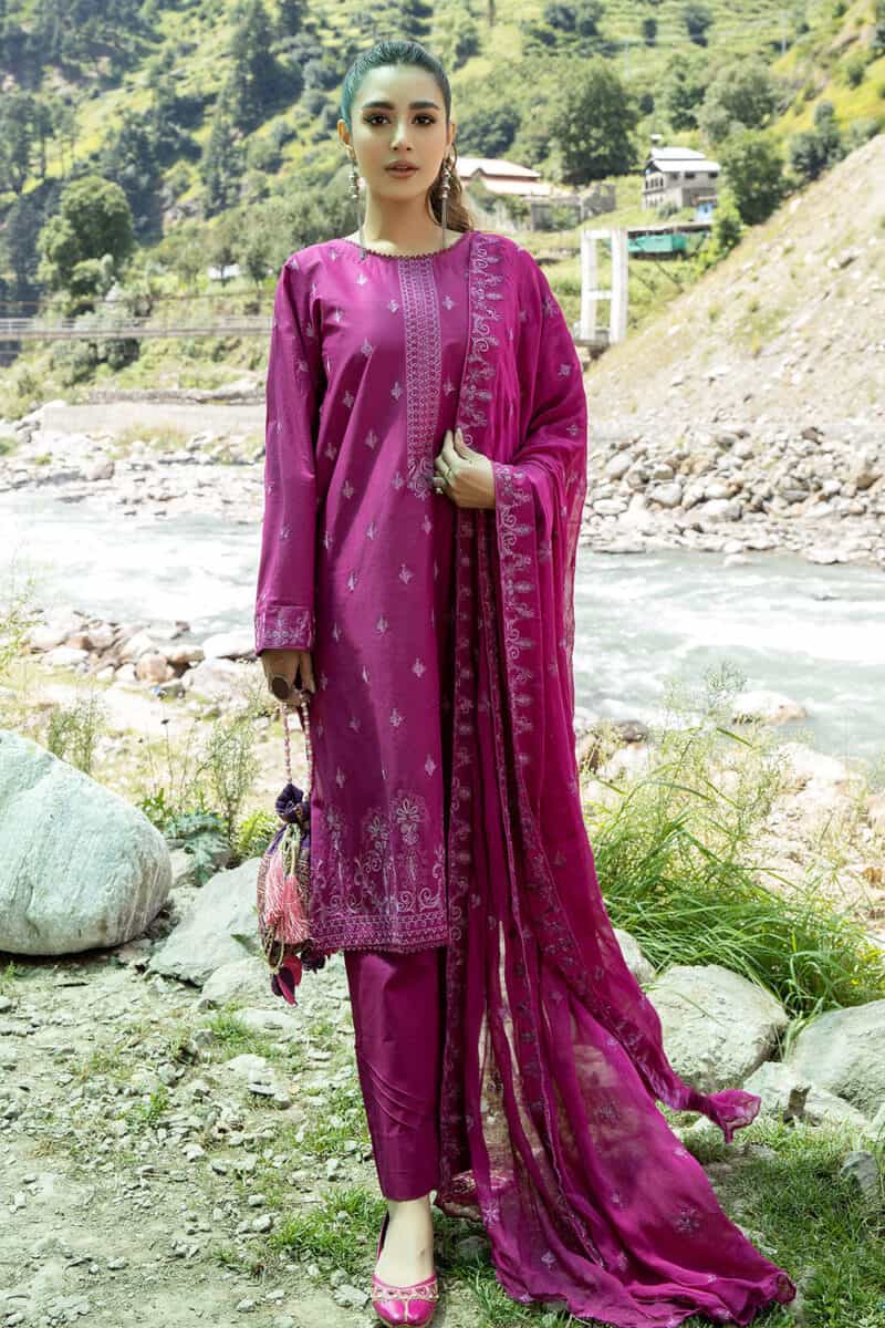 Punjabi salwar suit design