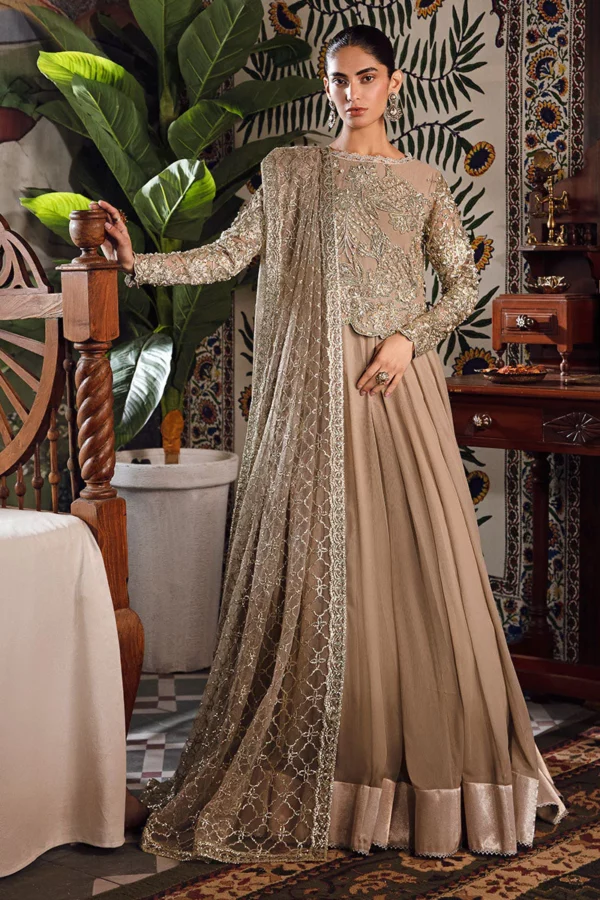 Online Pakistani Suits | The Fashion Station | Party wear dresses, Pakistani  outfits, Embroidered dress