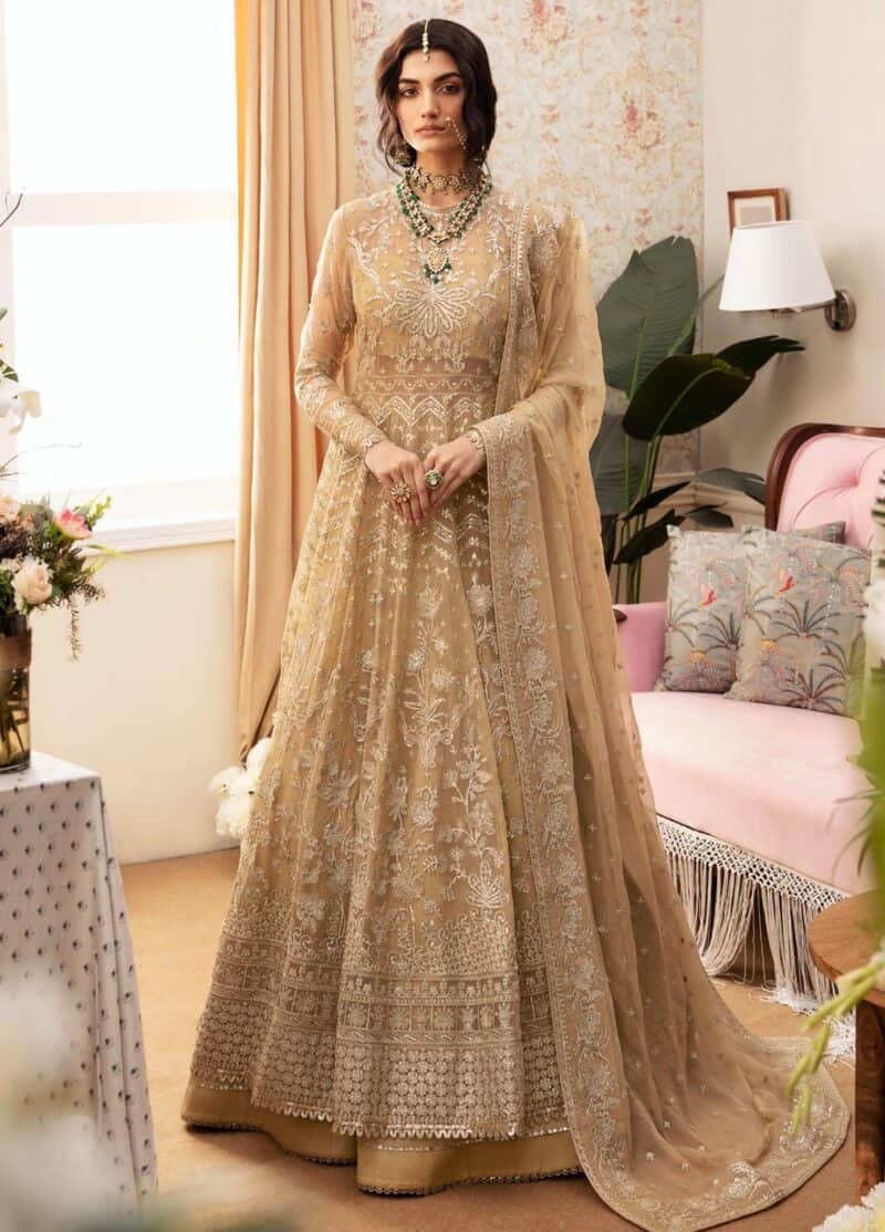 Ayzel by afrozeh embroidered chiffon 2024 | adk-v1-01