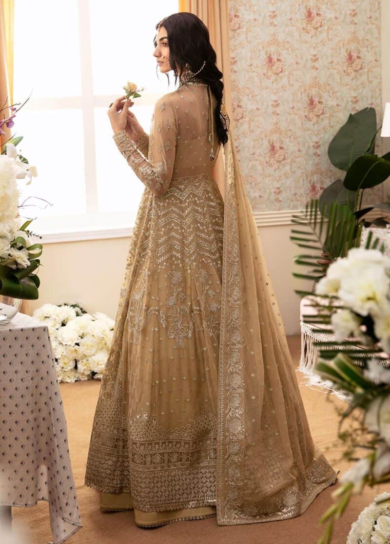 Ayzel by afrozeh embroidered chiffon 2024 | adk-v1-01