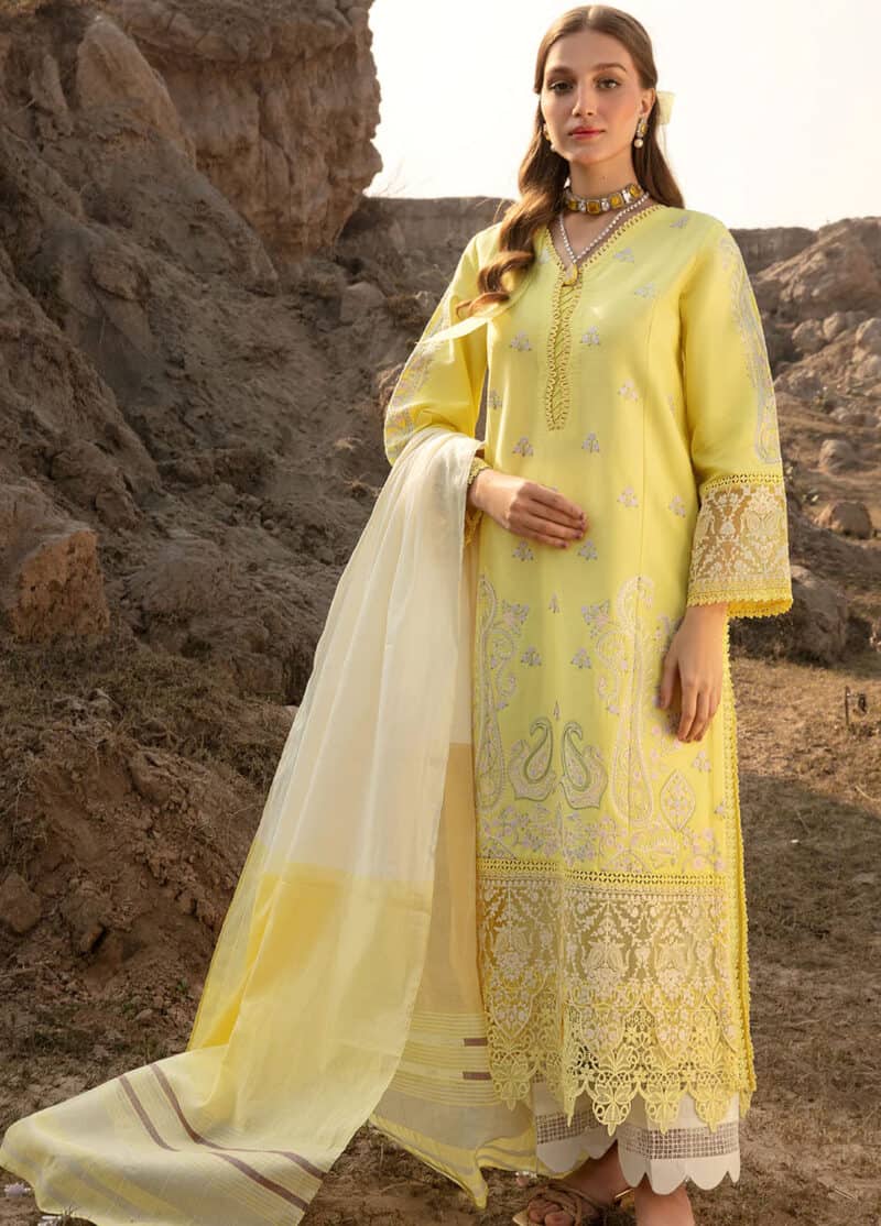 Aghaaz by declare embroidered lawn suits | dc24ag u1135 noor