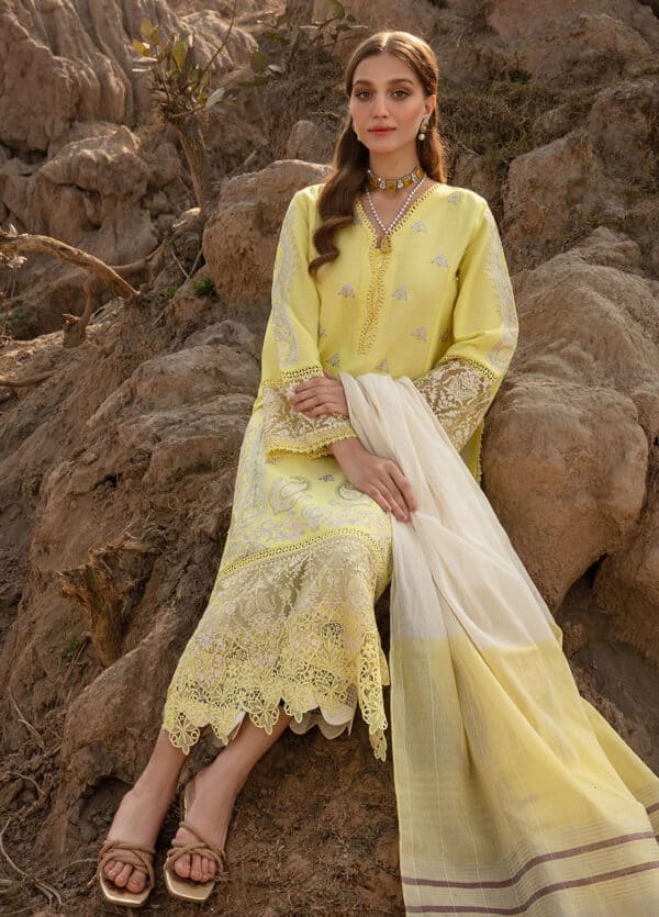 Aghaaz by declare embroidered lawn suits | dc24ag u1135 noor