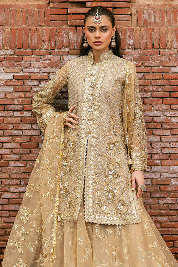 Zarlish festive unstitched vol vi|| roshni– 0011653 roshni Zarlish Festive Unstitched Vol VI|| Roshni– 0011653 roshni