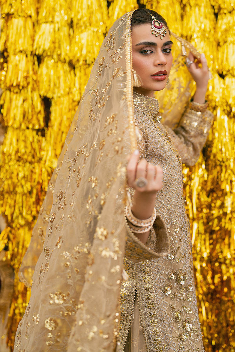 Zarlish festive unstitched vol vi|| roshni– 0011657 roshni Zarlish Festive Unstitched Vol VI|| Roshni– 0011657 roshni