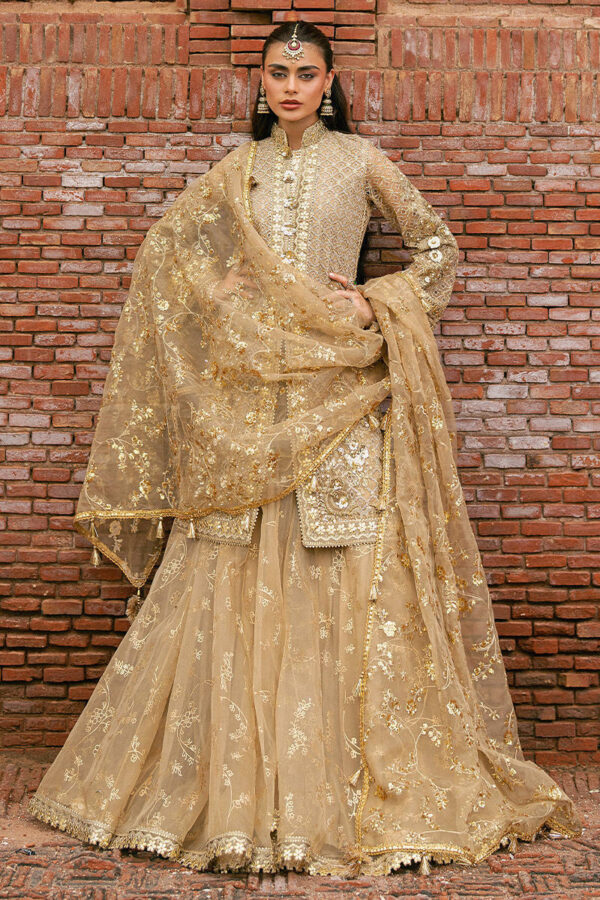 Zarlish festive unstitched vol vi|| roshni– 0011658 roshni Zarlish Festive Unstitched Vol VI|| Roshni– 0011658 roshni