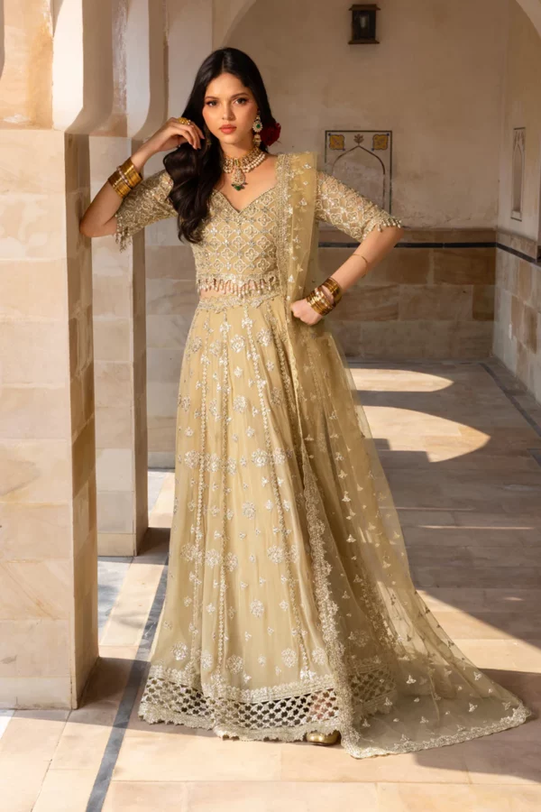 Rang Rasiya Chiffon Formals'|| Zaiena– 2K3A7503 1800x1800