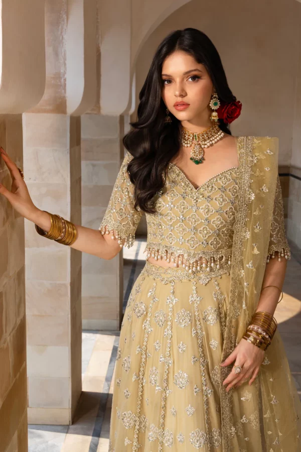 Rang Rasiya Chiffon Formals'|| Zaiena– 2K3A7508 1800x1800