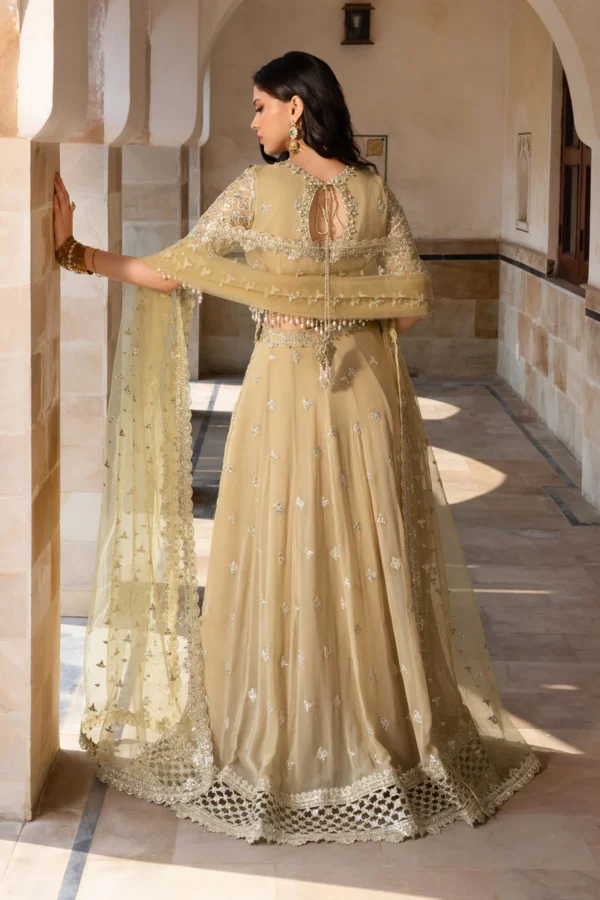 Rang Rasiya Chiffon Formals'|| Zaiena– 2K3A7527 1800x1800