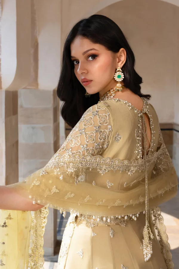 Rang Rasiya Chiffon Formals'|| Zaiena– 2K3A7537 1800x1800
