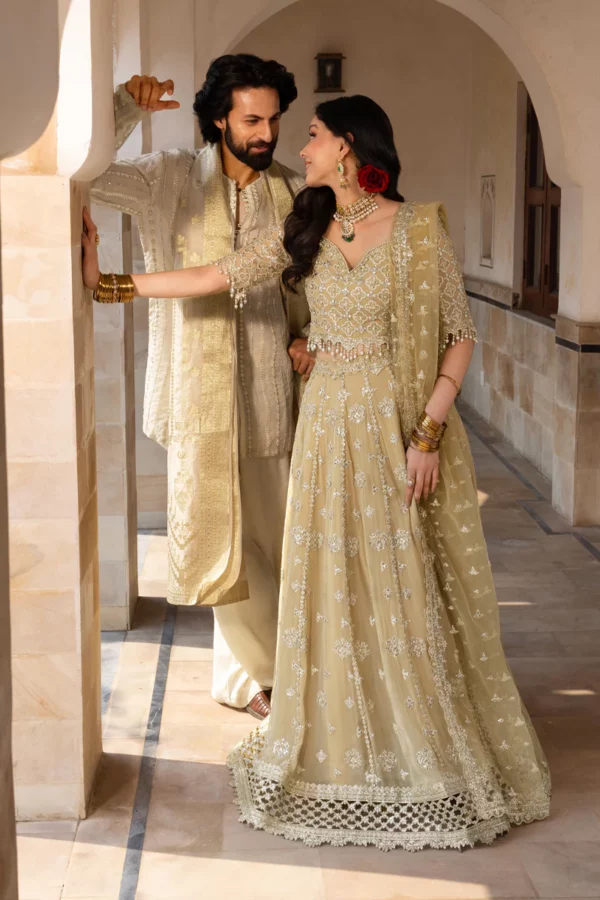 Rang Rasiya Chiffon Formals'|| Zaiena– 2K3A7562-2 1800x1800
