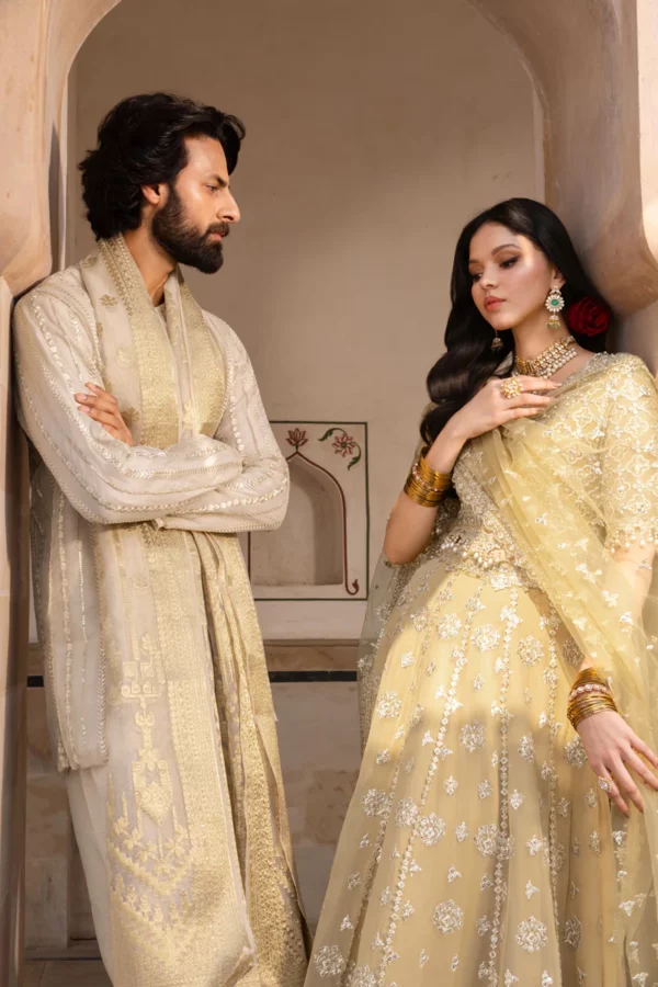 Rang Rasiya Chiffon Formals'|| Zaiena– 2K3A7637 1800x1800