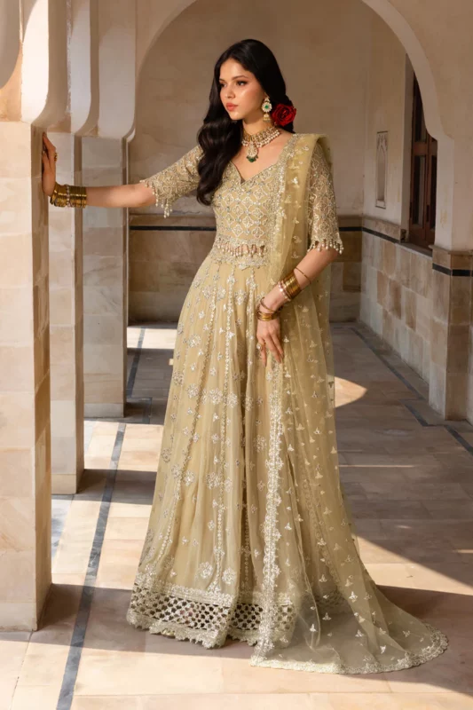 Rang Rasiya Chiffon Formals' || Zaiena