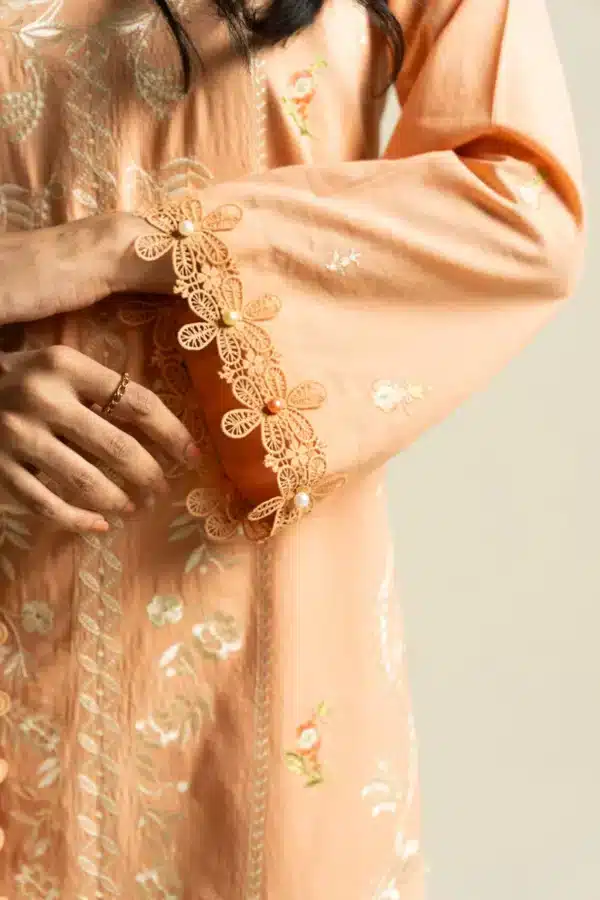 Alkaram spring summer 2026 lawn|| ef01-26-peach– ef01-26-peach-3 AlKaram Spring Summer 2026 Lawn|| EF01-26-Peach– EF01-26-Peach-3