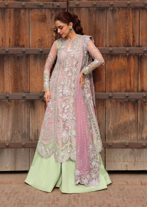 Crimson Luxury Wedding Collection 2026|| TILSAM– imgi 14 052A0777 1500x