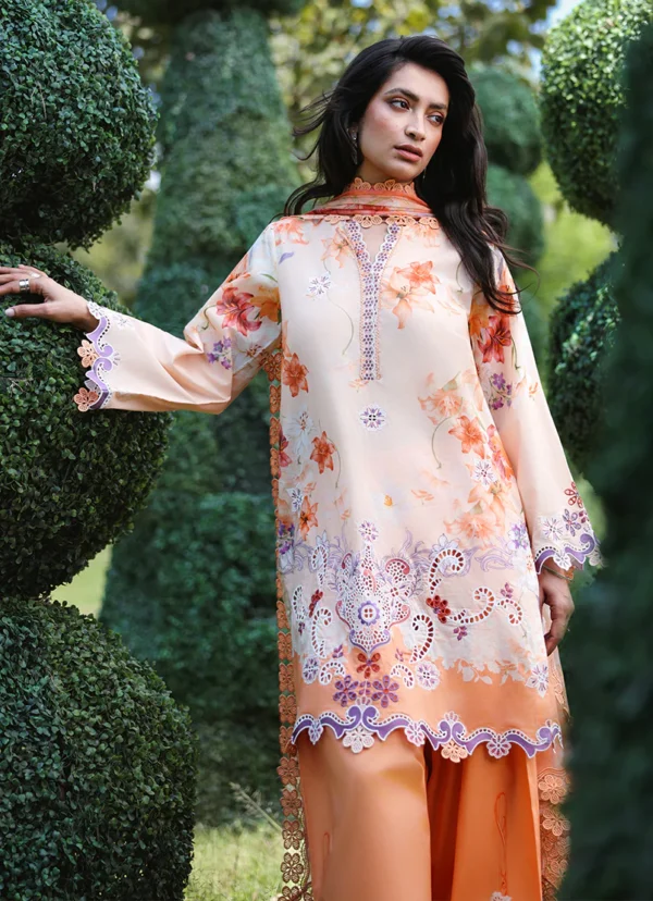 Printkari by Image 2026|| Pezzia– detail view 3