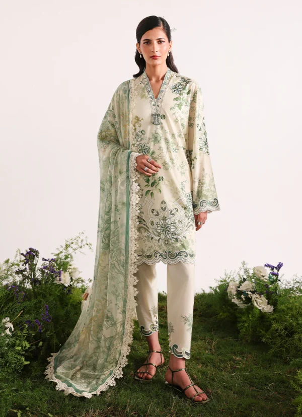 Printkari by Image 2026|| Mintara Printkari by Image 2026|| Mintara