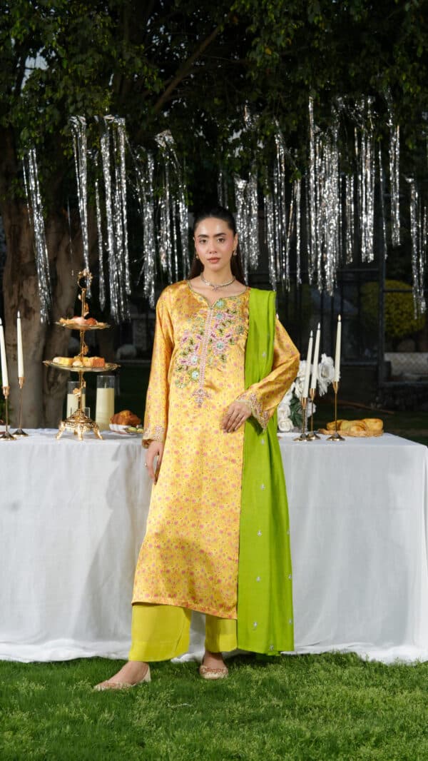 Ghazal Eid Luxe Embellished Festive 2026 by House of Mist| HMGZ-E26-09– sonia-21 2 Ghazal Eid Luxe Embellished Festive 2026 by House of Mist| HMGZ-E26-09– sonia-21 2
