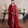 Maryam Hussain Daneen - Pakistani Suit - image
