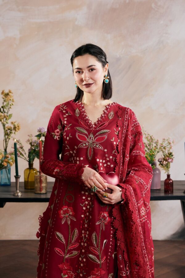 Maryam Hussain Daneen - Image 4