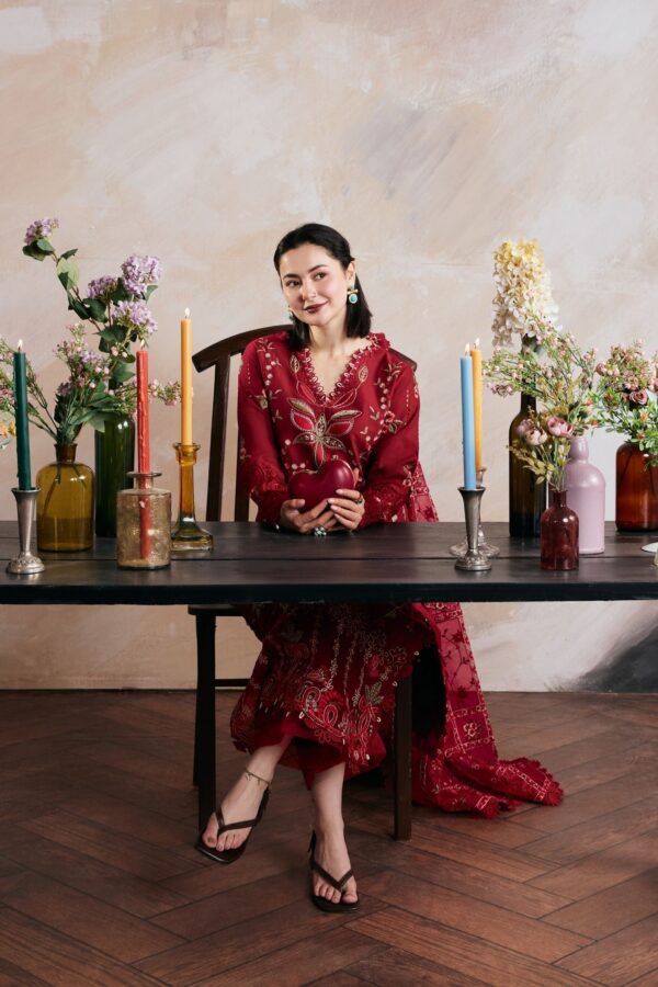 Maryam Hussain Daneen - Image 3