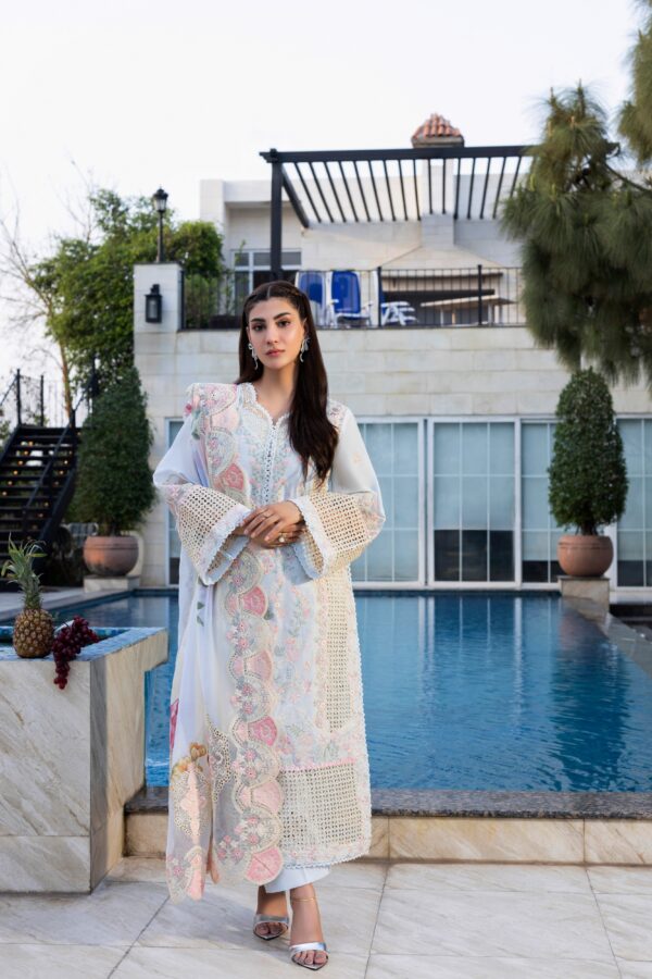 Aneelas  Signature Luxury Lawn
