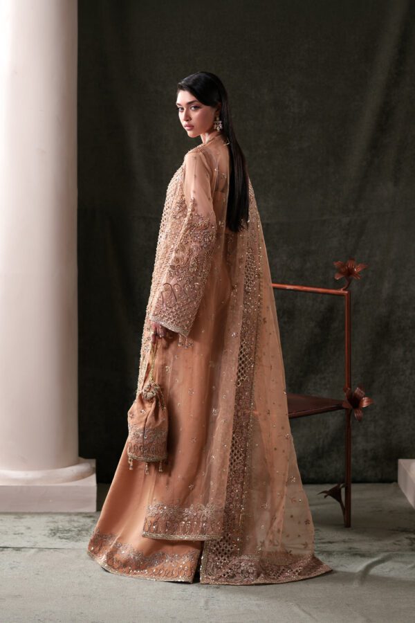 Emaan adeel hessonite– dsc00499-edit Emaan Adeel Hessonite– DSC00499-Edit