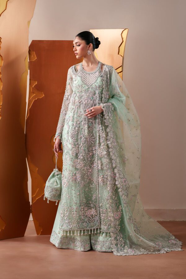 Emaan Adeel Moonstone Gleam