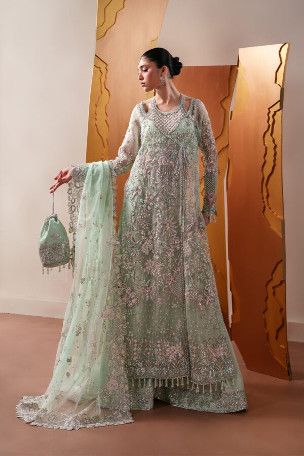 Emaan Adeel Moonstone Gleam– DSC01031-Edit