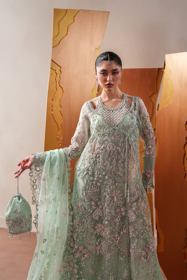 Emaan Adeel Moonstone Gleam– DSC01033-Edit