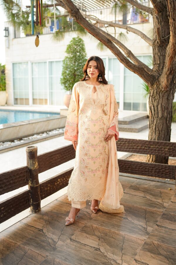 Aneelas  Signature Luxury Lawn