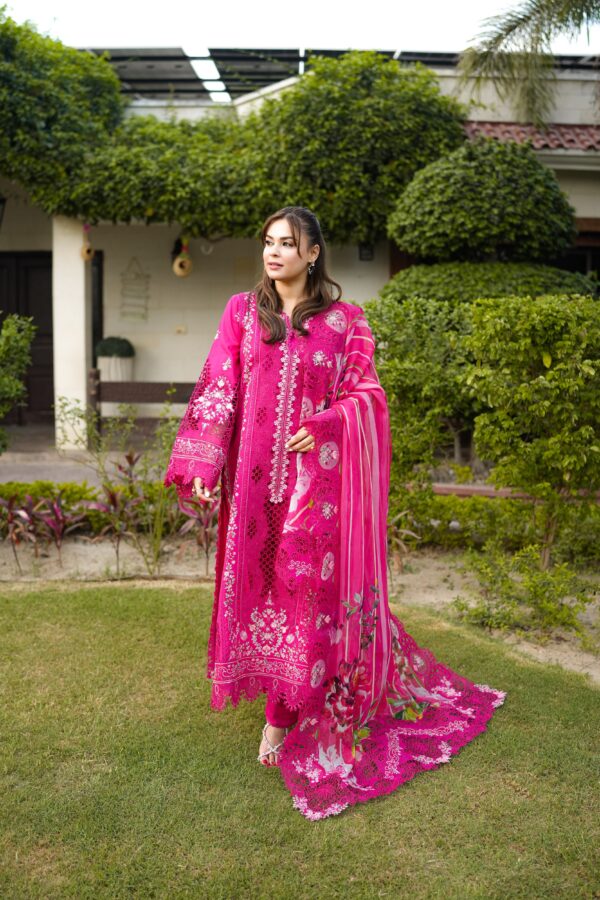 Aneelas  Signature Luxury Lawn