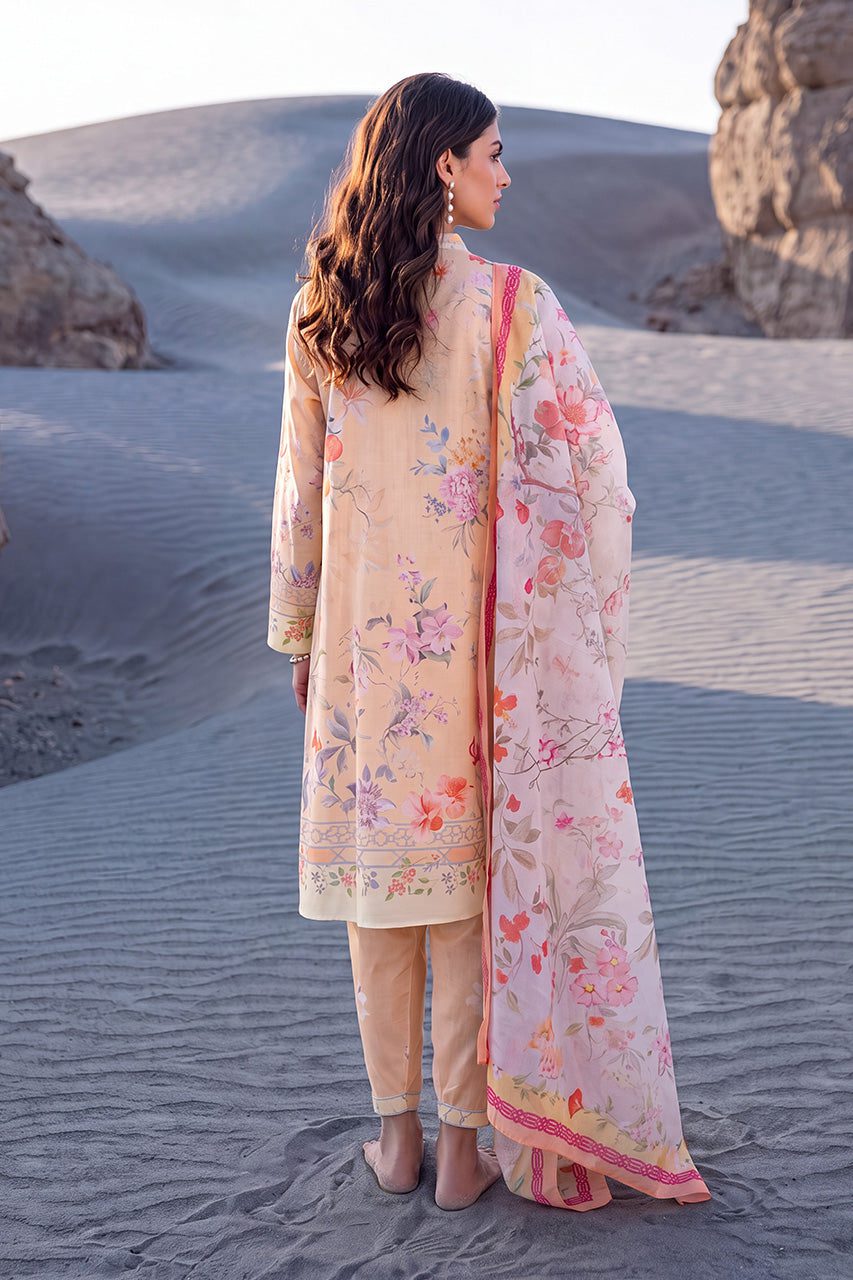 Nida azwer sunspill– sunspill 5 Nida Azwer Sunspill– Sunspill 5