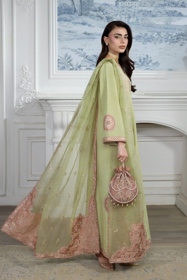 Alternative view of Lumeire Silk '26 Rang Rasiya | Alma